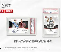 九游体育官网入口-今夜勒沃库森调整名单以备欧联关键时刻上海申花备战法甲，曼城迎欧联关键赛都惊呆了